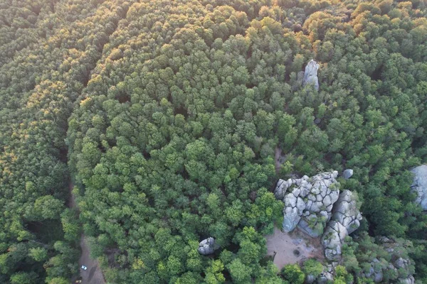 Flygfoto Över Magiska Dovbush Klippa Karpatiska Bergen Sommardag Ukraina Vidvinkel — Stockfoto