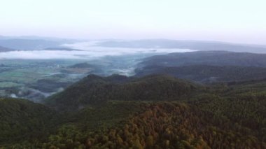 Dramatik dağ gündoğumu hava uçuşu. Yaz çam ormanları, sarı çayırlar, arka planda sisli sıradağlar. Karpatlar, Ukrayna, Avrupa 'ya Seyahat