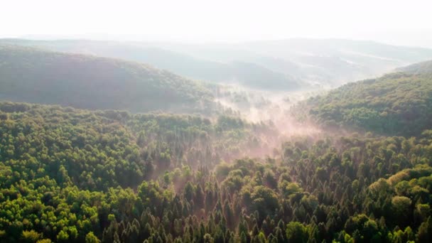 Niesamowity Krajobraz Górski Kolorowym Żywym Wschodem Słońca Niebie Mgliste Naturalne — Wideo stockowe