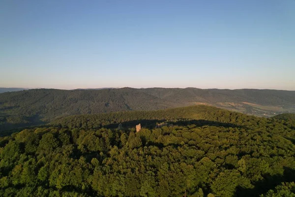 Letnia Panorama Ukraińskiego Pasma Górskiego Piękna Letnia Sceneria Poranna Mgła — Zdjęcie stockowe