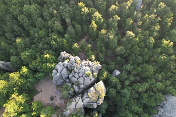 Letnia Panorama Ukraińskiego Pasma Górskiego Piękna Letnia Sceneria Poranna Mgła — Zdjęcie stockowe