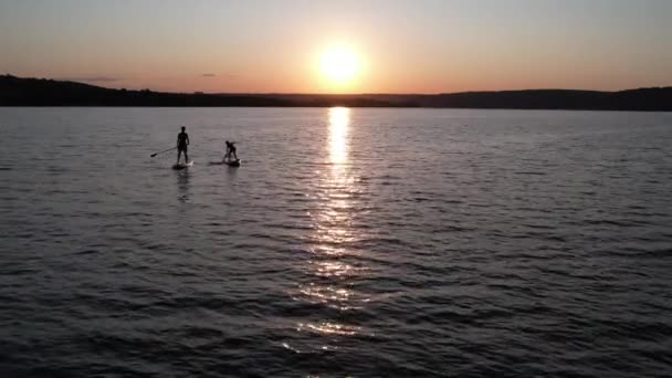 Silhouet Van Mensen Sup Boord Peddelen Bij Zonsondergang Lichtgolven Het — Stockvideo