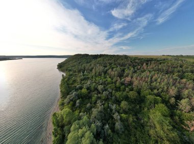 Nehir kenarındaki yeşil çam ormanı ve büyük nehrin havadan panoramik görüntüsü. Yaz sabahı. Panoramik manzara.