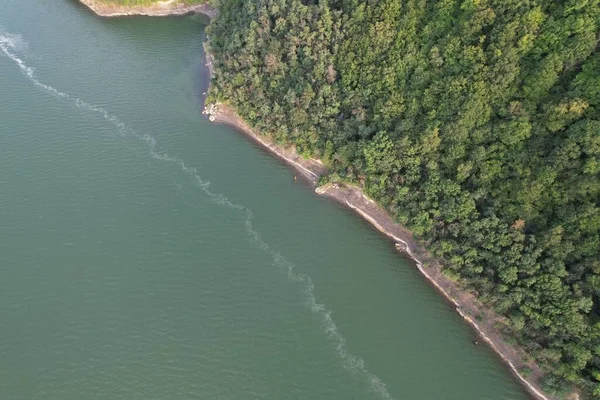 Aerial Top View River Green Water Coniferous Coast — Stock Photo, Image