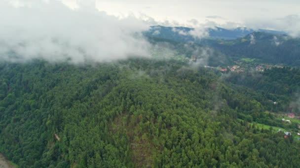 Regenachtig Weer Een Klein Stadje Bergen Misty Mist Waait Dennenbos — Stockvideo