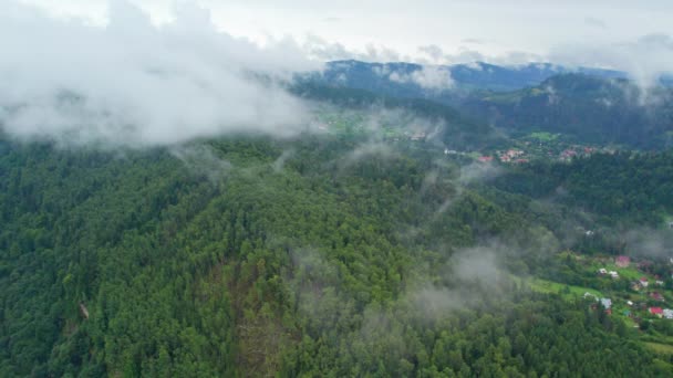 Deštivé Počasí Malém Městečku Horách Mlhavá Mlha Vanoucí Nad Borovým — Stock video