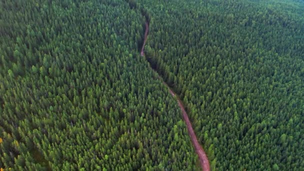 Vue Aérienne Haut Bas Forêt Conifères Couverte Collines Paysage Coloré — Video