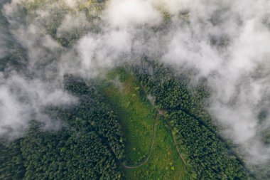 Havadan aşağıya, kozalaklı ormanlarla kaplı dağın manzarası. Ağaçlar arasında kıvrımlı yol.