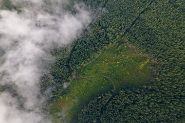 Havadan aşağıya, kozalaklı ormanlarla kaplı dağın manzarası. Ağaçlar arasında kıvrımlı yol.