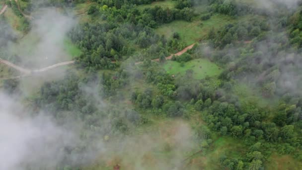 Tempo Piovoso Montagna Nebbia Nebbia Che Soffia Sopra Pineta Strada — Video Stock