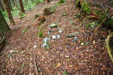  Bir ormandaki yosunlara yerleştirilmiş plastik su şişesini dikkatsizce çöpe atıyor. Dünya ekoloji problemi.                             