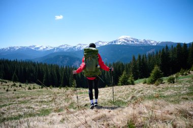 Sırt çantalı kadın yürüyüşçü ve dağlarda yürüyen yürüyüş direkleri. Doğadaki macera yaşam tarzı. Güneşli bir günde orman patikalarını keşfeden aktif bir kadın..