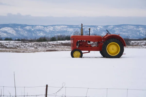 Kar Dolu Bir Tarlada Kırmızı Bir Traktör - Stok İmaj