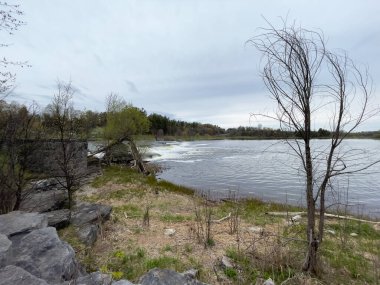 Baharda büyük bir park