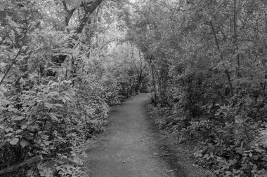 Bir yaz gününde şehir manzarası