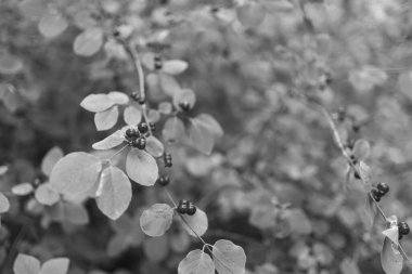 Bir yaz gününde şehir manzarası