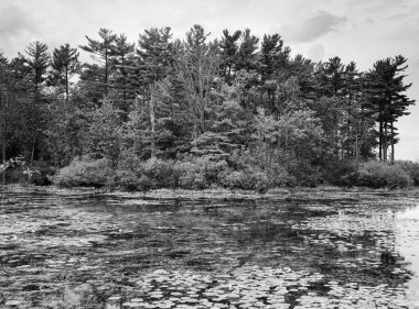 Bir yaz gününde şehir manzarası