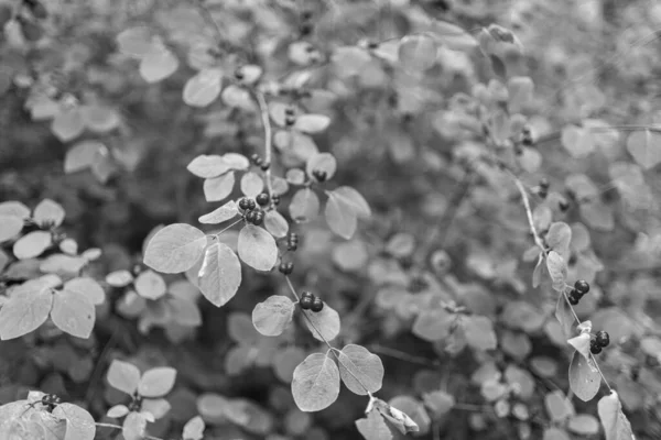 Bir yaz gününde şehir manzarası