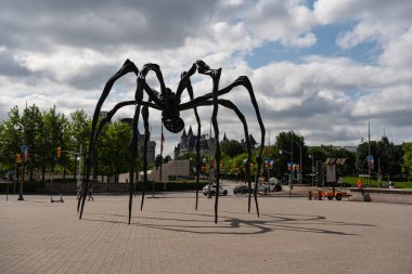Aydınlık bir yaz gününde Örümcek heykeli