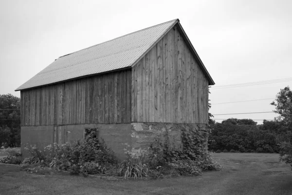 Old Barn Summer — Stock Photo, Image