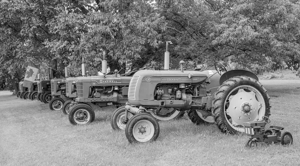 Old Tractors Display — Stock Photo, Image