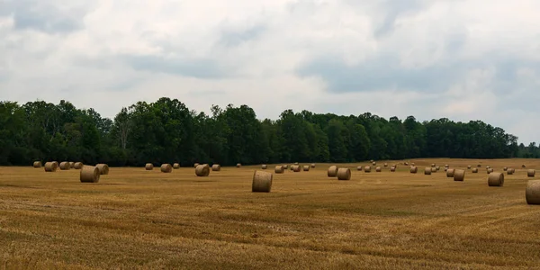 Field Bailed Hay Summers Day — Stock Photo, Image