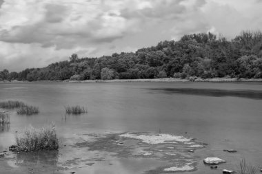 Güneşli bir yaz gününde bir nehir