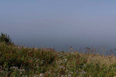 Atlantik okyanusuna bakan kayalıklar