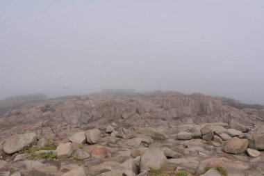 Atlantik okyanusuna bakan kayalıklar