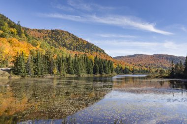Dağlarda sonbahar renkleri