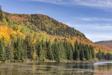 Dağlarda sonbahar renkleri