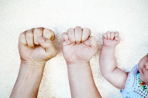 Fathers, mothers and their babys fists next to each other. — Stock Photo, Image