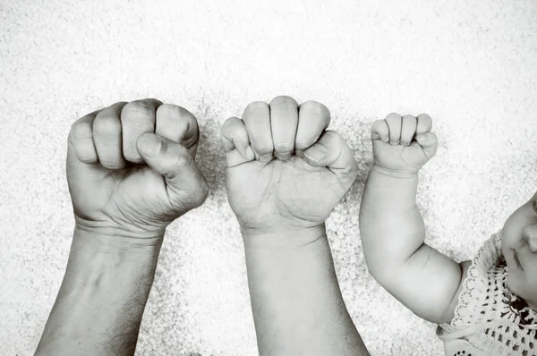 Black and white portrait of fathers, mothers and their babys fists next to each other. Stock Picture