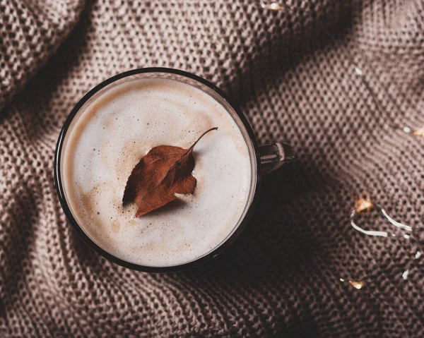 Örgü yüzeyi üzerinde sarı ışıklar olan eski yapraklı Amerikan kahvesi. Sonbahar havası çöktü.