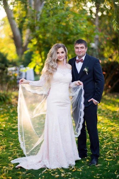 Casal Belos Recém Casados Jardim — Fotografia de Stock