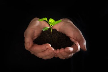 Adam elinde filiz tutuyor.