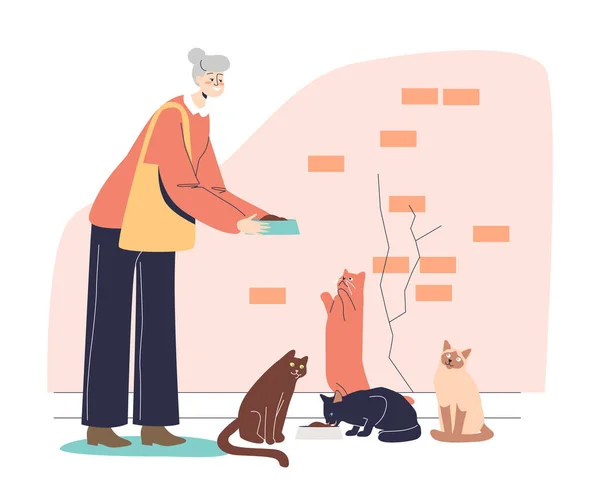 Abuela mayor sosteniendo plato con comida para gatos. Linda señora mayor con mascotas de alimentación de pelo gris — Vector de stock