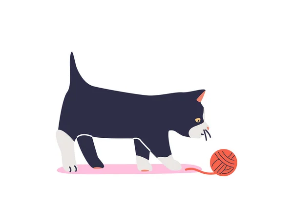 Чорний кошеня грає з м'ячем нитки ізольовано на білому тлі. мила домашня тварина маленька кішка радісна — стоковий вектор