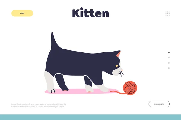 Концепция жизни котенка с маленькой кошкой, играющей с мячом тройки. Симпатичный друг — стоковый вектор