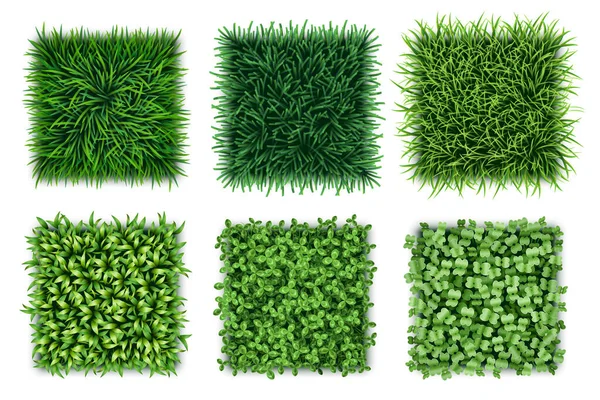 Grönt gräs bakgrunder inställd. Realistiska färska gräsmatta texturer samling. Sömlös torv mönster — Stock vektor