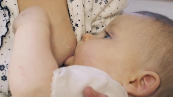 Lactancia materna. Madre está amamantando al bebé. — Vídeo de stock