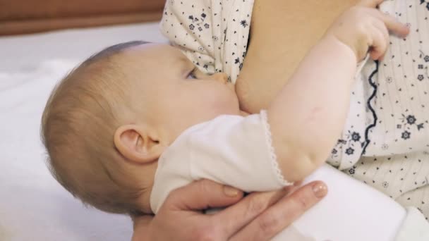 A amamentar. Mãe está amamentando o bebê. — Vídeo de Stock