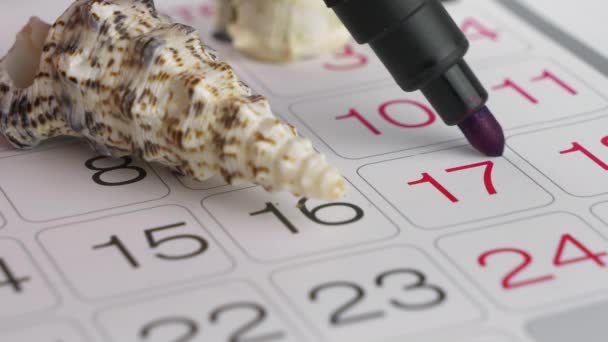 Planificador de calendario con fecha en círculo y conchas marinas — Vídeos de Stock