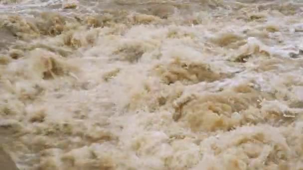 Wütender Fluss mit schmutzigem Wasser. Wasserfluss nach Regenfällen. — Stockvideo