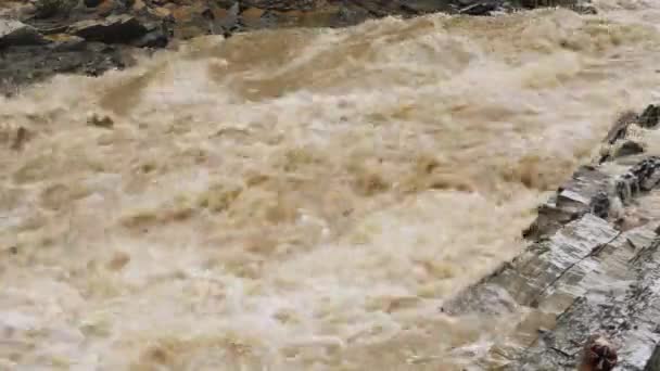 Természeti katasztrófák és szélsőséges időjárás. Dühöngő folyó piszkos vízzel — Stock videók