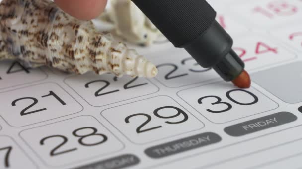 Planificador de calendario con fecha en círculo y conchas marinas — Vídeos de Stock