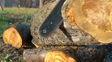 Elektrikli testere orman ortamındaki büyük kütükleri keser. Güneş ışığı ahşap dokuları vurguluyor, ayrıntılı ağaç kabuklarını ve yeni ortaya çıkmış kütük yüzeylerini gösteriyor.