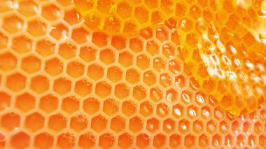 Bal peteği yapısının detaylı incelemesi altın balla dolu altıgen hücreleri ortaya çıkardı. Işık dokusunu ve rengini güçlendirir, doğal güzelliğini gösterir..