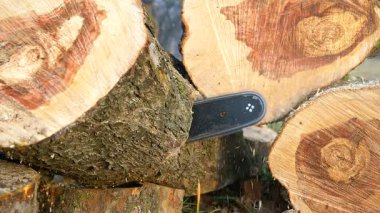 Elektrikli testere kütükleri keser, odun parçalarını uçurur. Çevresindeki bölgede yeşil çimenler ve ağaç gövdeleri, düzenli bir ahşap kesim süreci sergiliyor.