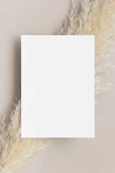 Invitación Mockup Tarjeta Blanca Con Una Decoración Hierba Pampa Relación — Foto de Stock